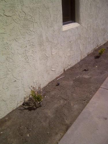 Mud Stain Removal on Stucco After