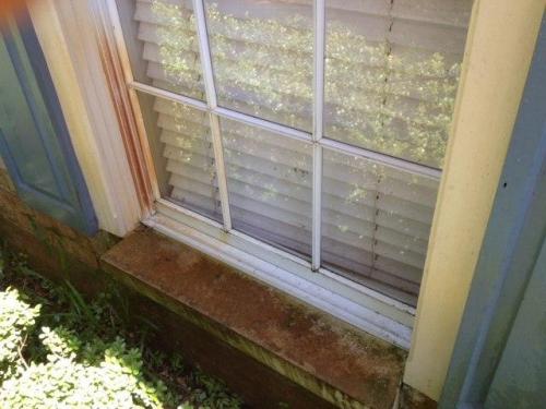 Rust Removal on Siding and Shutters Before