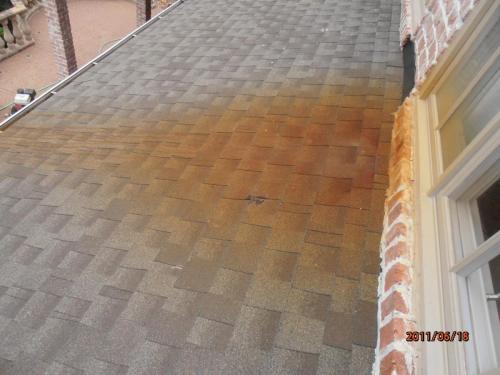 Rust Removal on Roof Shingles Before